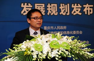 重庆软件服务外包业规划布局，剑指行业三甲宝座