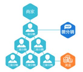 脂老虎下单系统开发案例解析 重庆软件开发的创新实践