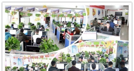 西南领先的一站式数字服务 重庆四模建站、全网推广与软件开发解决方案