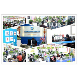 重庆彭水网站建设与软件开发 网沃网络的综合服务优势